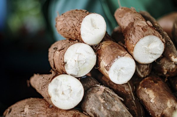 Cassava - Image 5