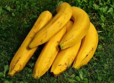 bananas
