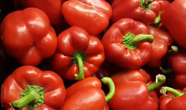 Green Pepper - Image 2