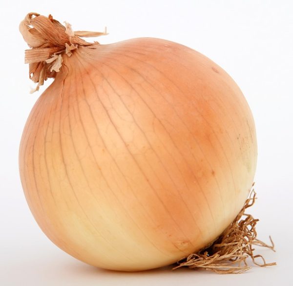 Onions - Image 5