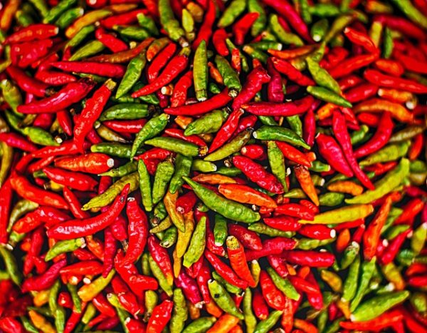 Chilli Pepper - Image 6