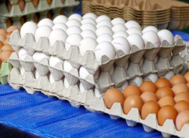 eggs