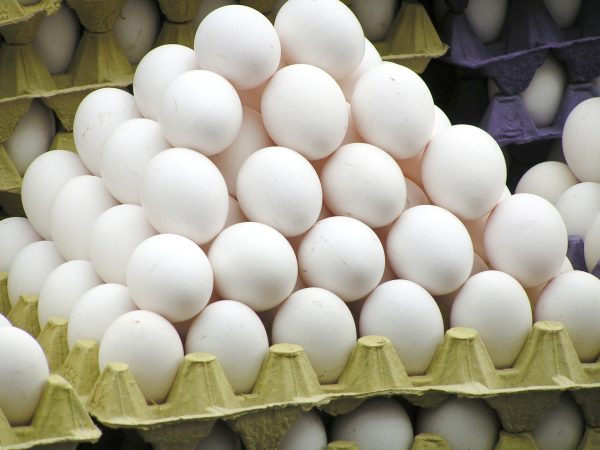 Local Eggs - Image 3