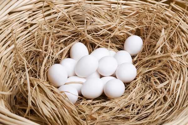 Local Eggs