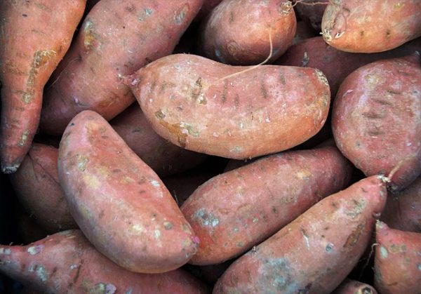 sweet-potato - Image 4