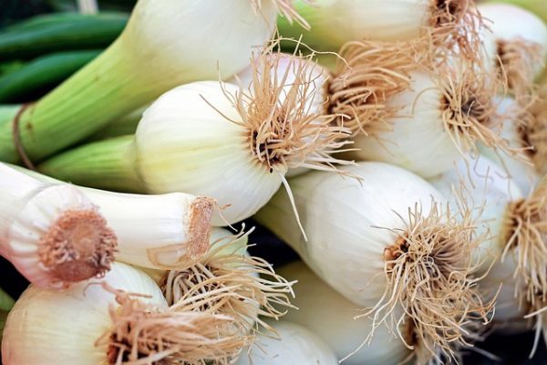 Spring Onions - Image 3