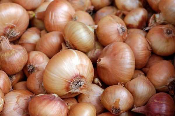 Onions - Image 3