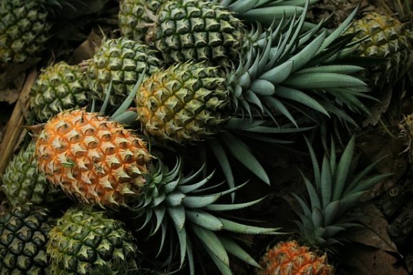 Pineapple - Image 2