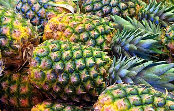 Pineapple - Image 6