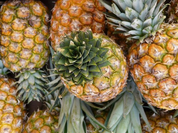 Pineapple