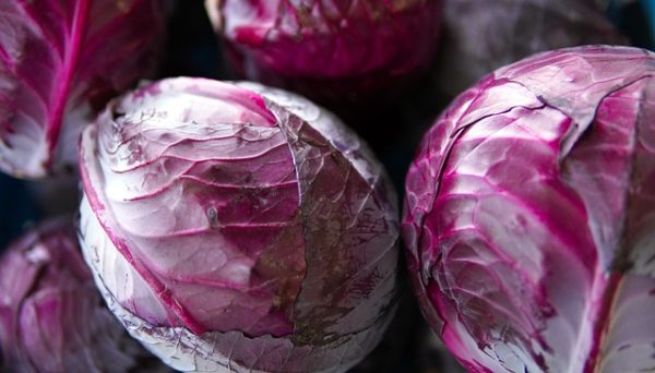 Red Cabbage
