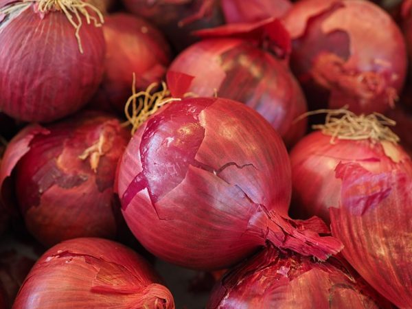Onions - Image 8