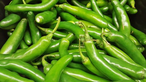 Chilli Pepper - Image 8