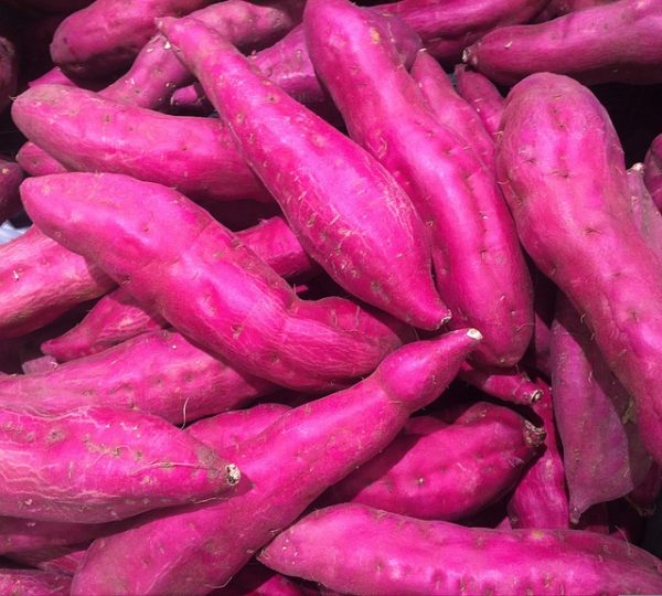 sweet-potato