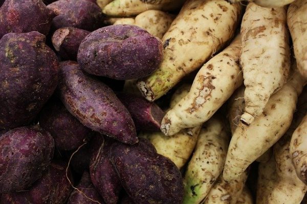 sweet-potato - Image 3