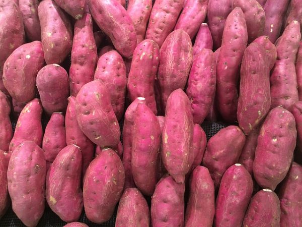 sweet-potato - Image 5